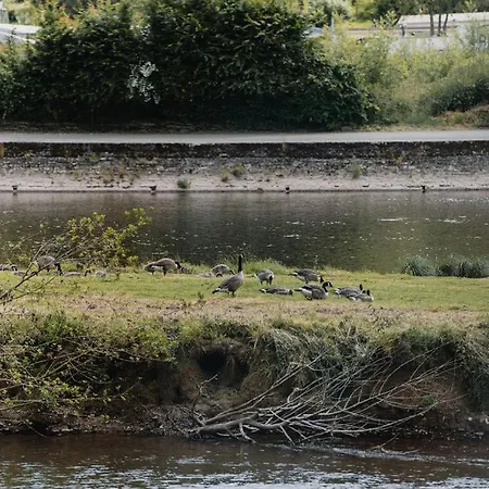 Met Zicht Op De Rivier De Semois En Eigen Balkon Lejlighed Vresse-sur-Semois