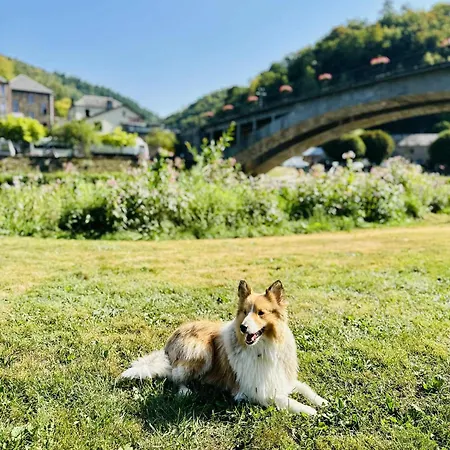 Met Zicht Op De Rivier De Semois En Eigen Balkon Vresse-sur-Semois